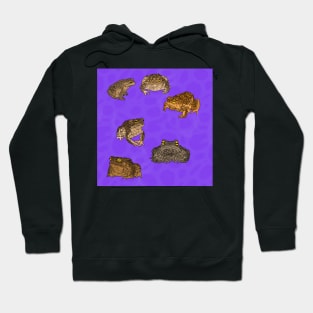 Toads Pattern Purple Hoodie